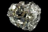 Gleaming, Cubic Pyrite Cluster - Peru #71363-1